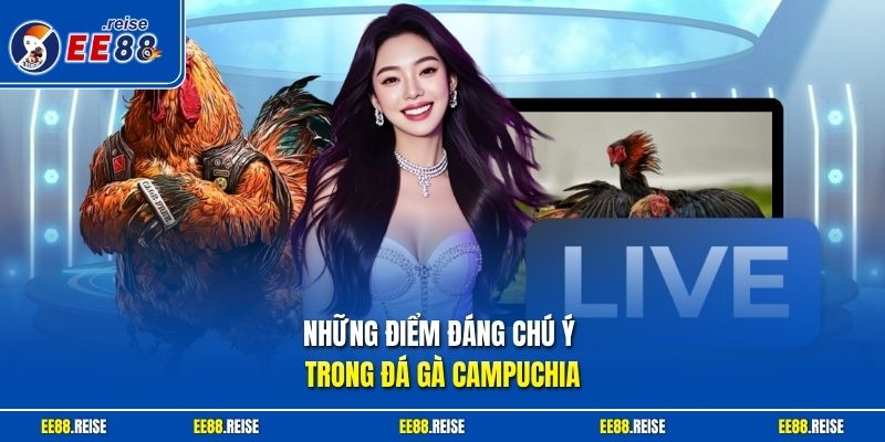 Những điểm đáng chú ý trong đá gà Campuchia